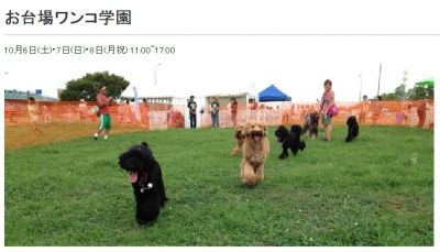 お台場ワンコ学園