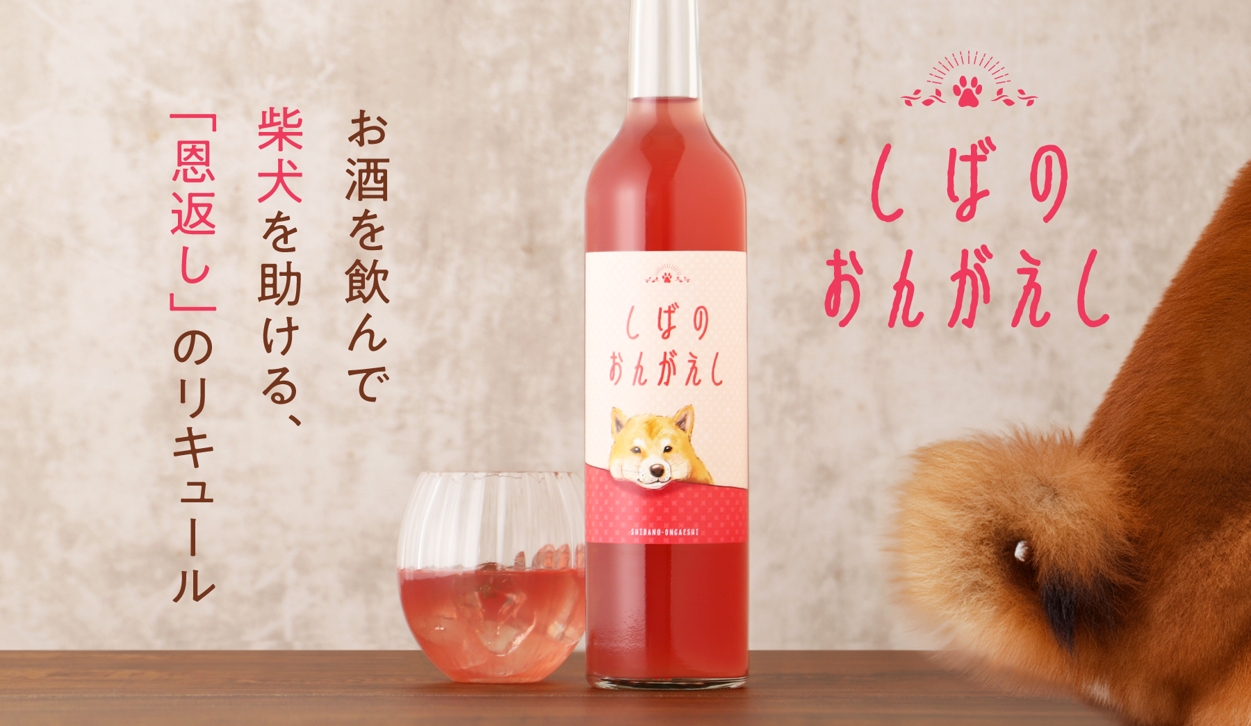 チャリティNS