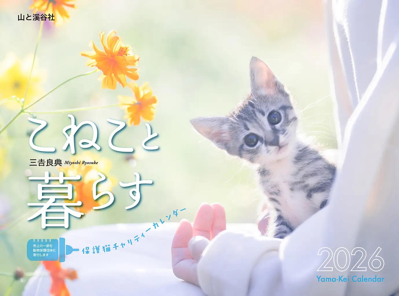 チャリティNS