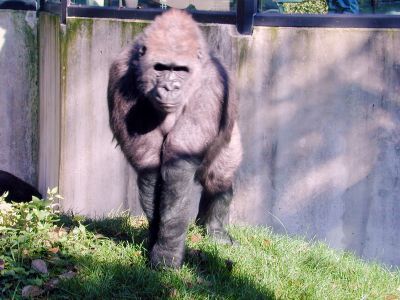 動物園