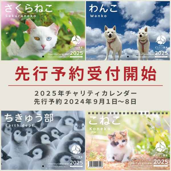 チャリティNS