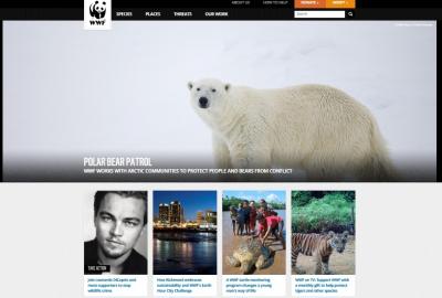 WWF