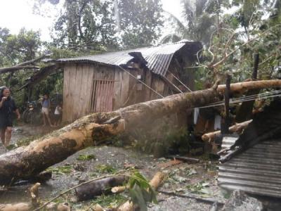 フィリピン台風緊急支援プロジェクト
