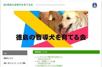 盲導犬育成