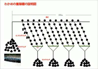 サンドバッグ